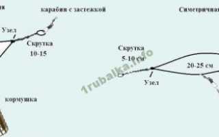 Ловля карпа на фидер на пруду. Особенности ловли карпа весной, летом, осенью